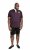 D555 NASH Short Sleeve Rugby Shirt Burgundy - Pólos - Pólos Tamanhos Grandes Homem