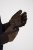 JP1880 811683 Luvas de pele Castanho - Luvas - 