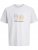 Jack & Jones Calma Crew Neck T-Shirt Gray Dawn - T-shirts - T-shirts Homem Tamanhos Grandes