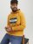 Jack & Jones Codyy Hoodie Yellow - Sweatshirts & hoodies - Sweatshirt & Camisolas com Capuz tamanhos grandes