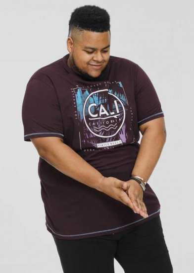 D555 NOVA Cali Surf Printed Crew Neck T-Shirt Plum - T-shirts - T-shirts Homem Tamanhos Grandes