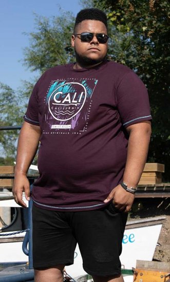 D555 NOVA Cali Surf Printed Crew Neck T-Shirt Plum - T-shirts - T-shirts Homem Tamanhos Grandes