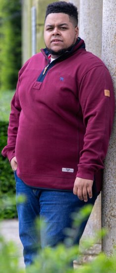 D555 HIRALDO Quarter Neck Pique Fleece Sweatshirt With Chest Embroidery Red - Sweatshirts & hoodies - Sweatshirt & Camisolas com Capuz tamanhos grandes