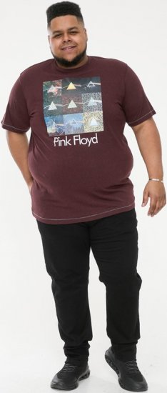 D555 DIVISION Official Pink Floyd Printed T-Shirt Burgundy - T-shirts - T-shirts Homem Tamanhos Grandes