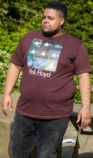 D555 DIVISION Official Pink Floyd Printed T-Shirt Burgundy - T-shirts - T-shirts Homem Tamanhos Grandes