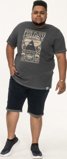 D555 HANLEY Official Pink Floyd Crew Neck T-Shirt Dark Grey - T-shirts - T-shirts Homem Tamanhos Grandes