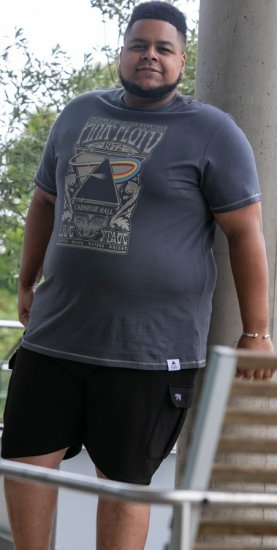 D555 HANLEY Official Pink Floyd Crew Neck T-Shirt Dark Grey - T-shirts - T-shirts Homem Tamanhos Grandes