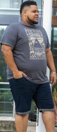 D555 HANLEY Official Pink Floyd Crew Neck T-Shirt Dark Grey - T-shirts - T-shirts Homem Tamanhos Grandes