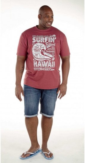 D555 Francis Burgundy T-shirt - T-shirts - T-shirts Homem Tamanhos Grandes