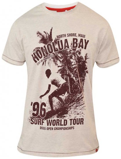 D555 CLAYTON Honolua Bay T-shirt White Marl - T-shirts - T-shirts Homem Tamanhos Grandes