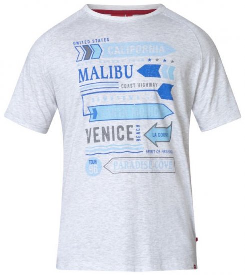 D555 Norris T-shirt Grey - T-shirts - T-shirts Homem Tamanhos Grandes