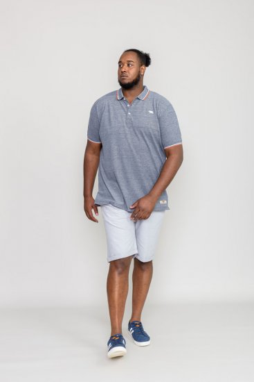 D555 WILCOT Polo Shirt - Pólos - Pólos Tamanhos Grandes Homem