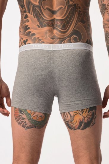 JP1880 Boxershorts Flexnamic OEKO-TEX Mid 2-Pack Grey/Off-White - Roupa Interior & natação - Roupa interior Homem Tamanhos Grandes