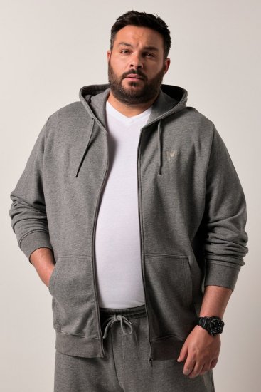 Men+ 851 Casaco com capuz Cinzento mesclado - Sweatshirts & hoodies - Sweatshirt & Camisolas com Capuz tamanhos grandes