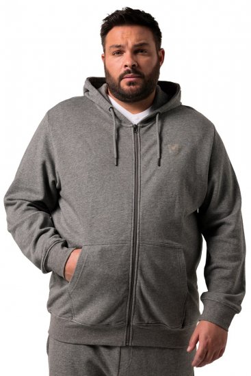 Men+ 851 Casaco com capuz Cinzento mesclado - Sweatshirts & hoodies - Sweatshirt & Camisolas com Capuz tamanhos grandes
