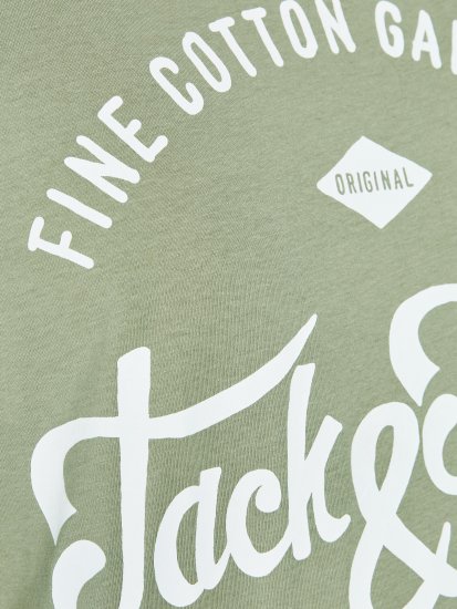 Jack & Jones JJERAFA TEE Light Green - T-shirts - T-shirts Homem Tamanhos Grandes