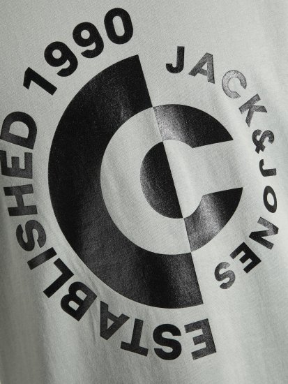 Jack & Jones JCOSPRING T-Shirt Gray - T-shirts - T-shirts Homem Tamanhos Grandes