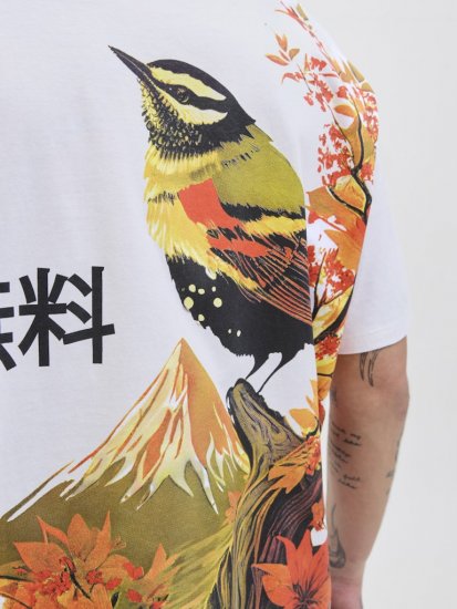 Jack & Jones Fuji Crew Neck T-Shirt Bright White - T-shirts - T-shirts Homem Tamanhos Grandes