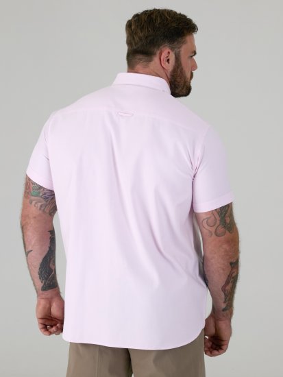 D555 James Camisa Oxford De Manga Curta TALL Rosa - TALL camisas - 